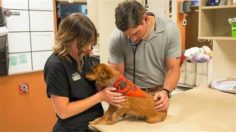 Indian trail animal hospital - Registration is open for Vet Camp 2023 dates!Click here to get your spot today!